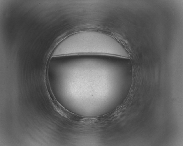 X0000070200051200605261046