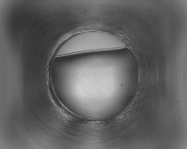 X0000070200054200605261046