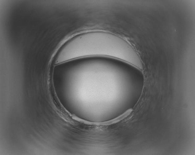 X0000070200056200605261046