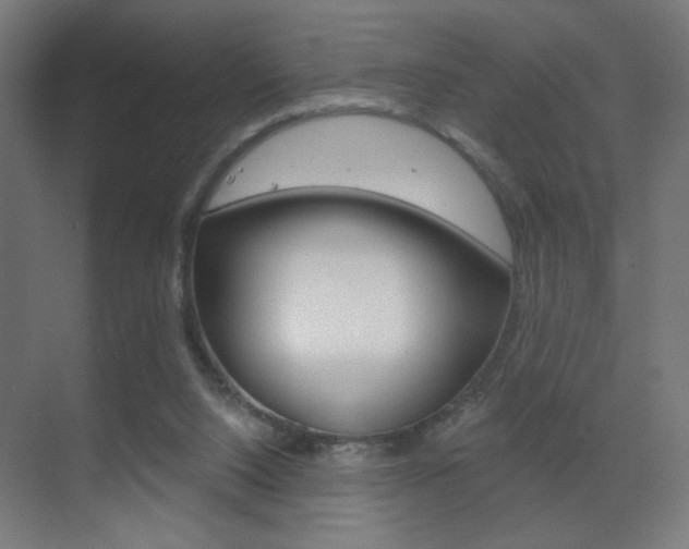 X0000070200064200605261047