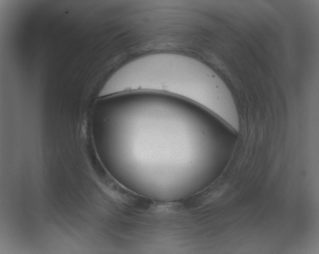 X0000070200072200605261047