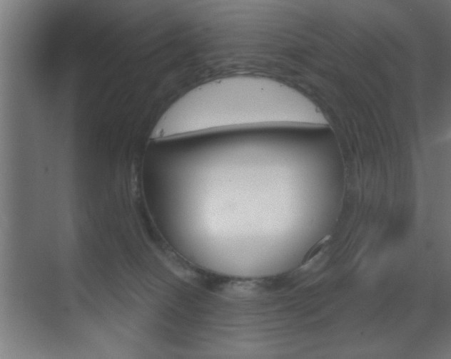 X0000070200086200605261047