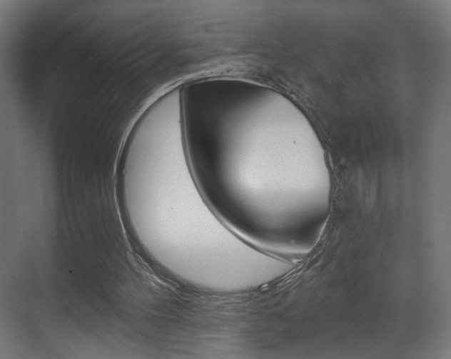 X0000070200100200605261046