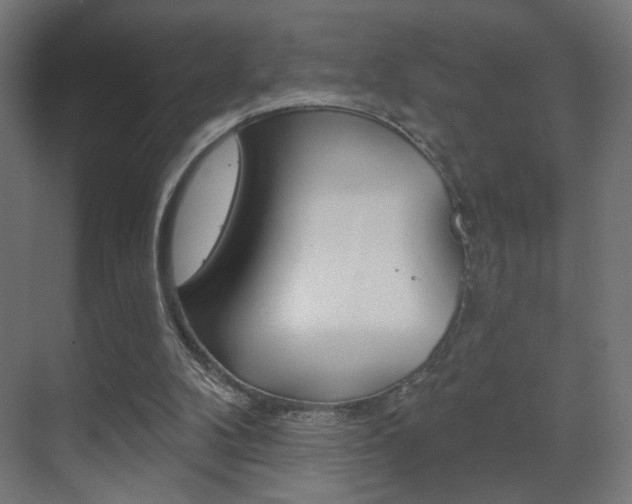 X0000070200104200605261046