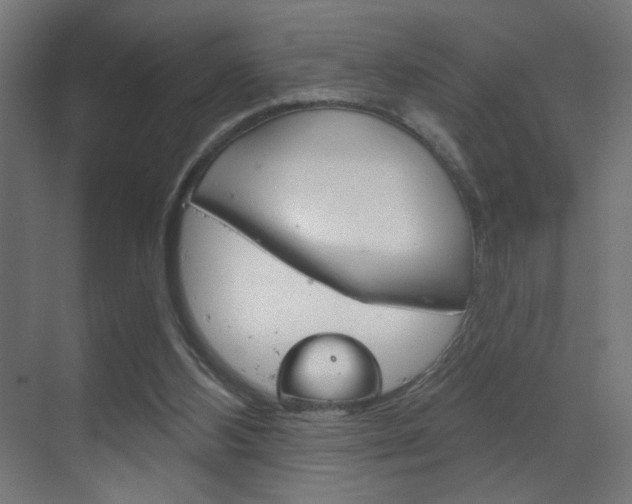 X0000070200108200605261046