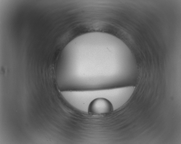 X0000070200126200605261046