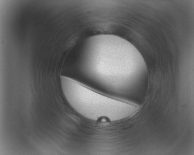 X0000070200132200605261046