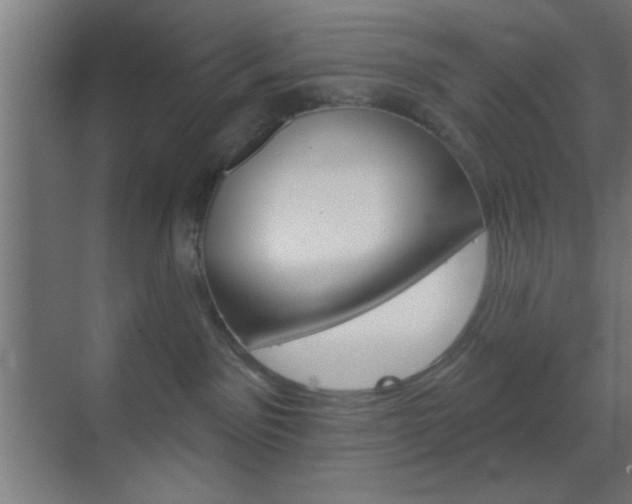 X0000070200141200605261046