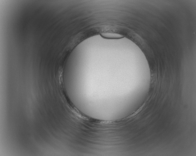X0000070200142200605261046