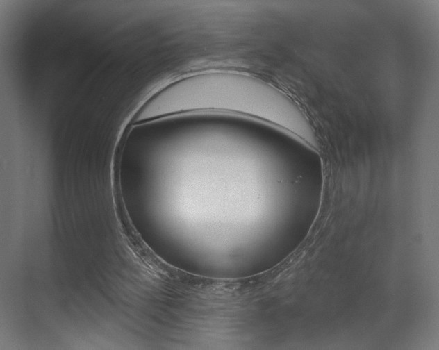 X0000070200148200605261045