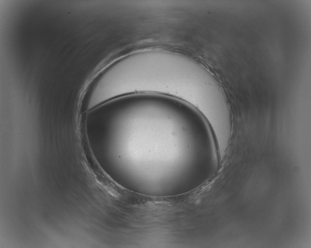 X0000070200150200605261045