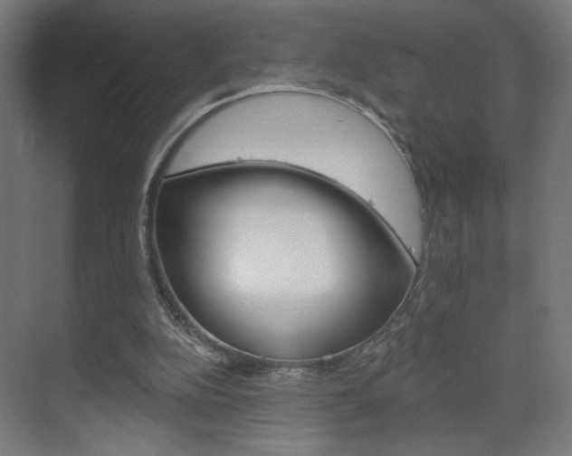 X0000070200152200605261045