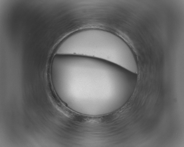 X0000070200155200605261045
