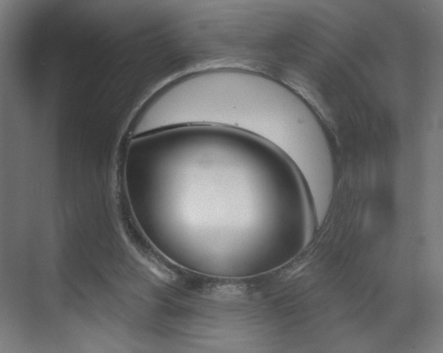 X0000070200156200605261045