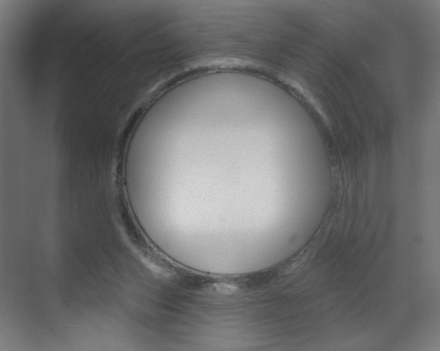 X0000070200159200605261045