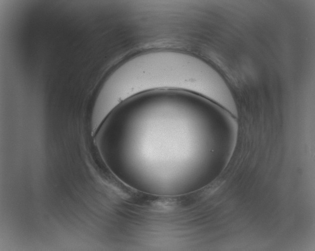 X0000070200164200605261045
