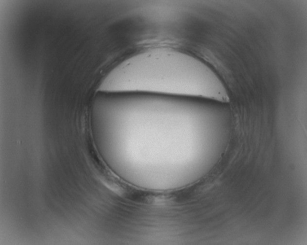 X0000070200165200605261045