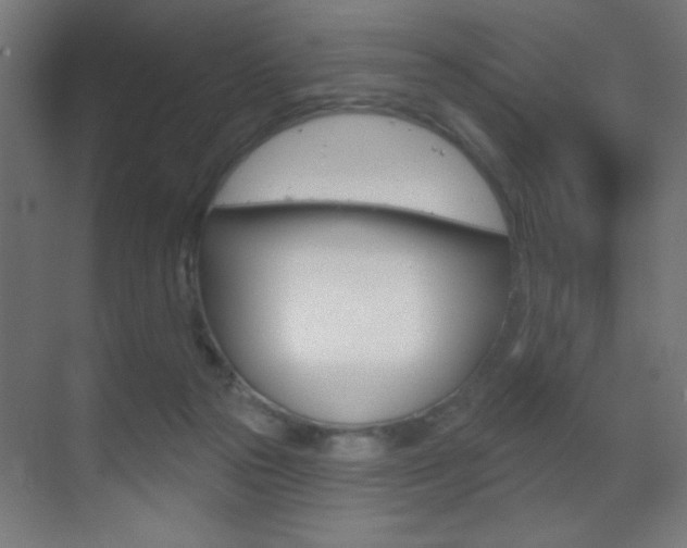 X0000070200169200605261045