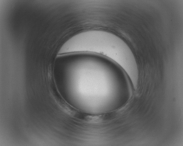 X0000070200170200605261045