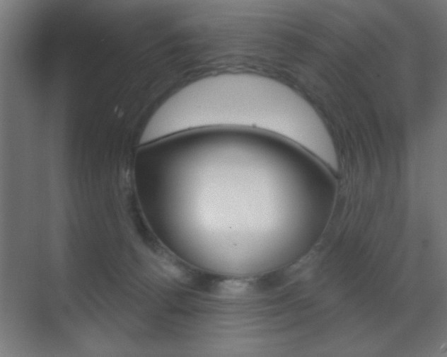 X0000070200176200605261045