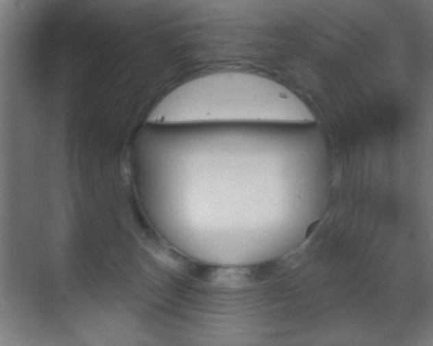 X0000070200179200605261045