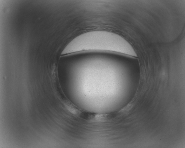 X0000070200184200605261045