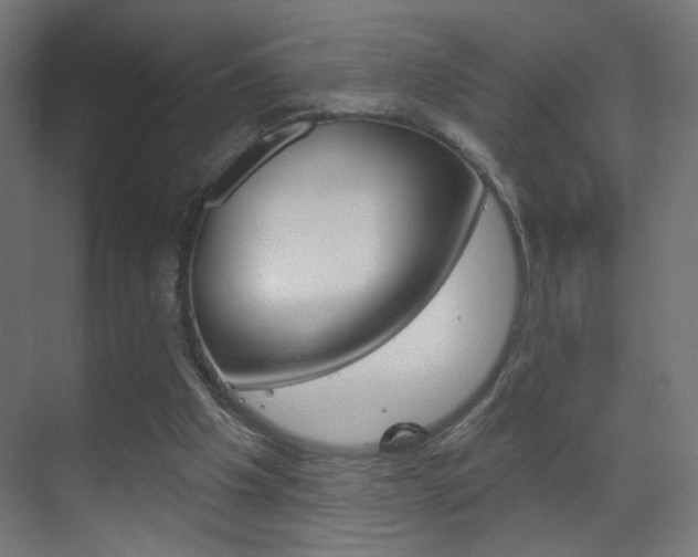 X0000070200201200605261045