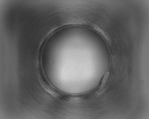 X0000070200203200605261045