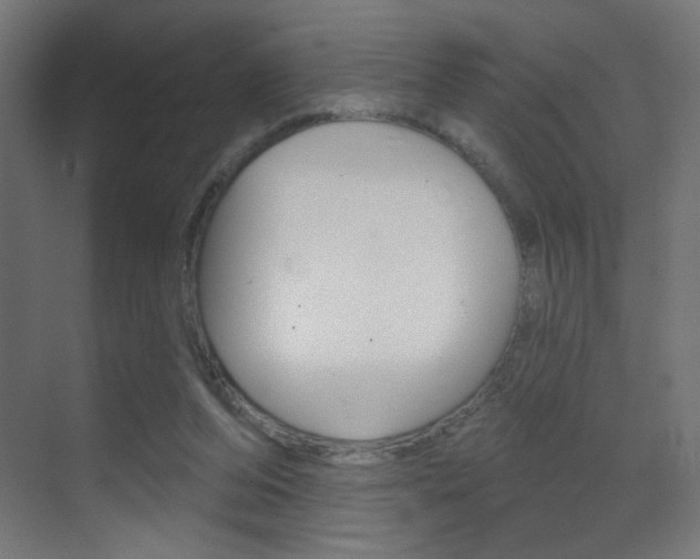 X0000070200208200605261044