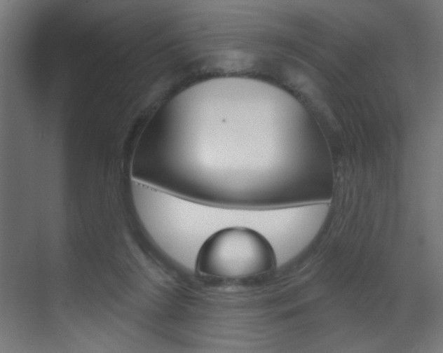 X0000070200212200605261044