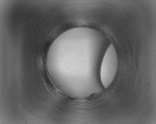 X0000070200214200605261044
