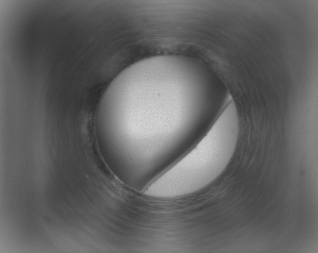 X0000070200225200605261044