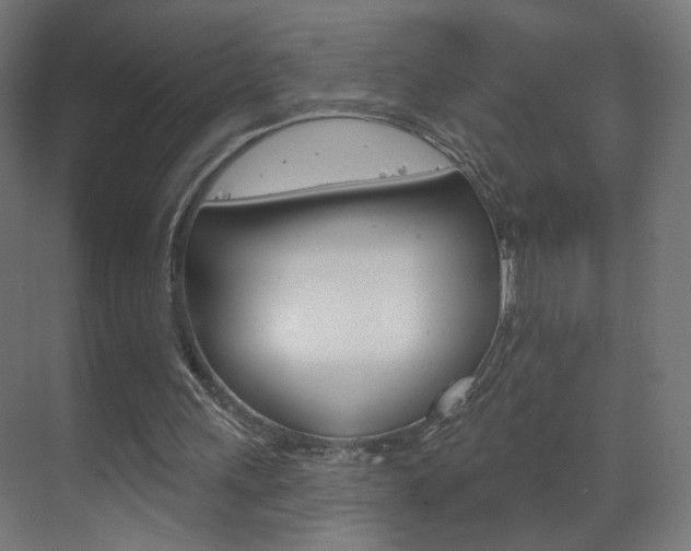 X0000070200243200605261043