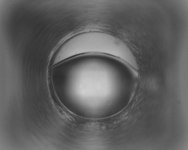 X0000070200244200605261043