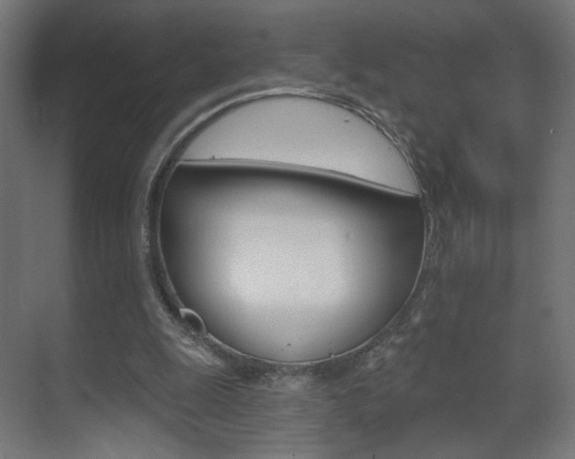X0000070200247200605261043