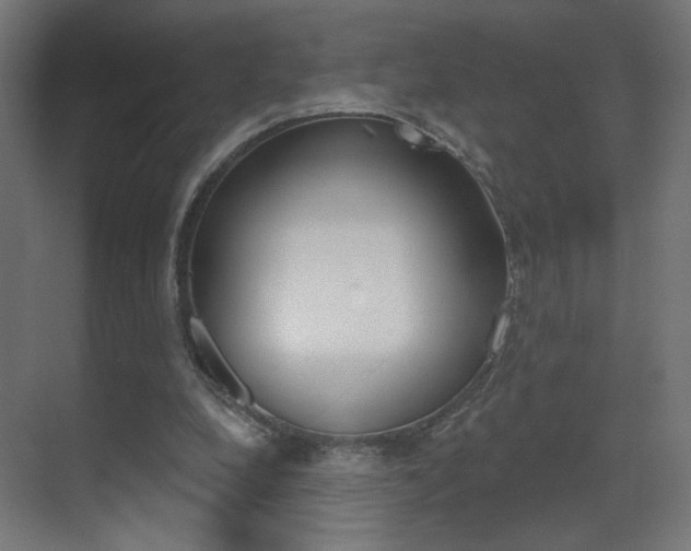 X0000070200248200605261043
