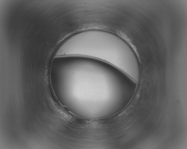 X0000070200249200605261043