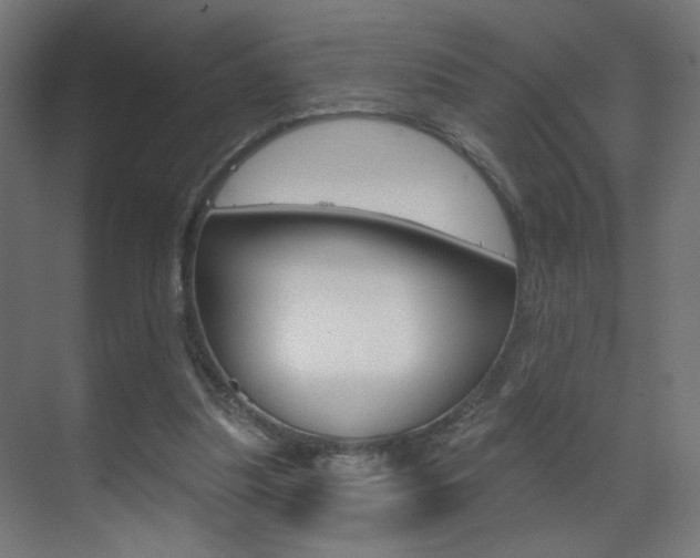 X0000070200251200605261043