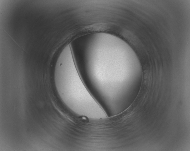 X0000070200254200605261043