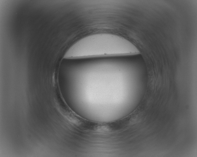 X0000070200262200605261043