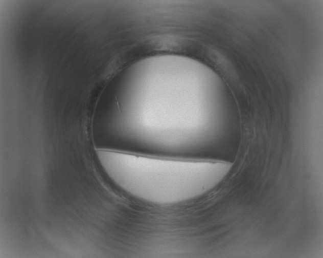 X0000070200265200605261044