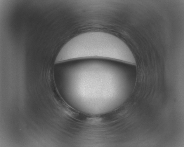 X0000070200266200605261044