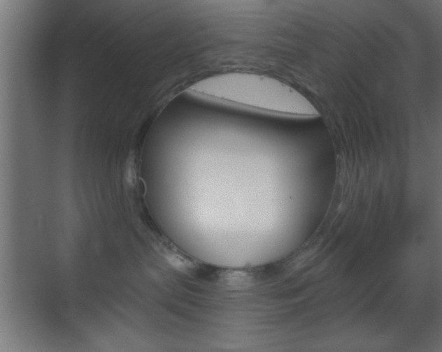 X0000070200287200605261044