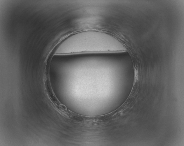 X0000070200291200605261043
