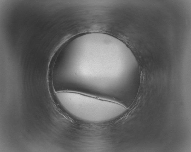 X0000070200292200605261043