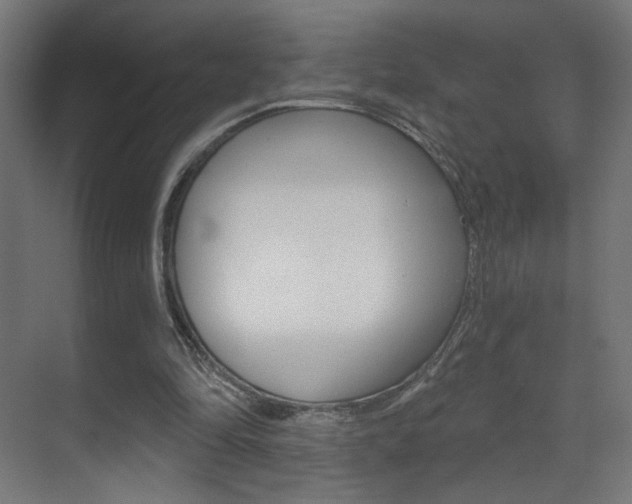 X0000070200294200605261043