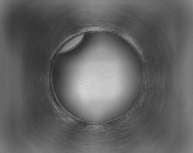 X0000070200297200605261043