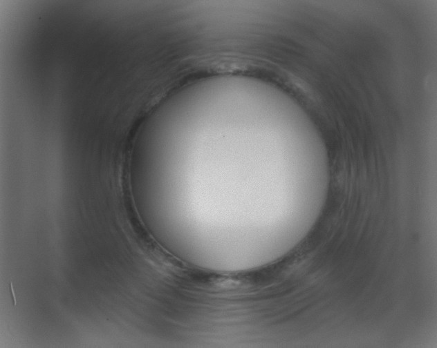 X0000070200315200605261043