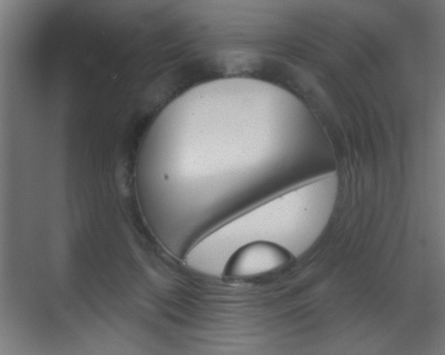 X0000070200316200605261043