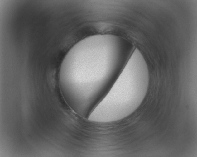 X0000070200319200605261043